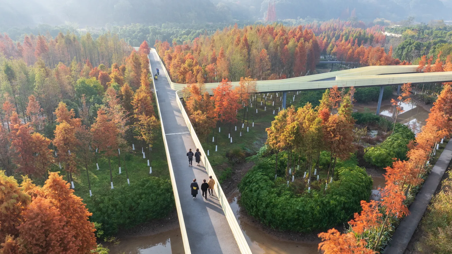 World Architecture Festival 2025