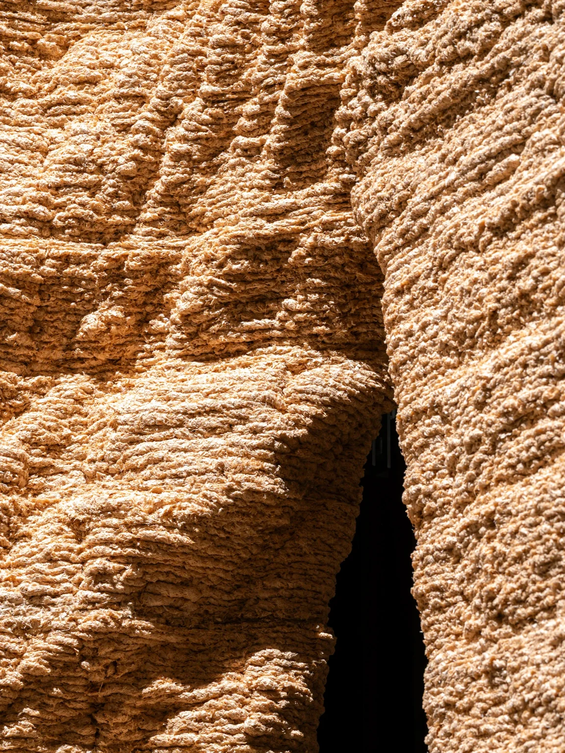 INOSCULAE: A 3D-Printed Wood Installation at La Biennale di Venezia 2025