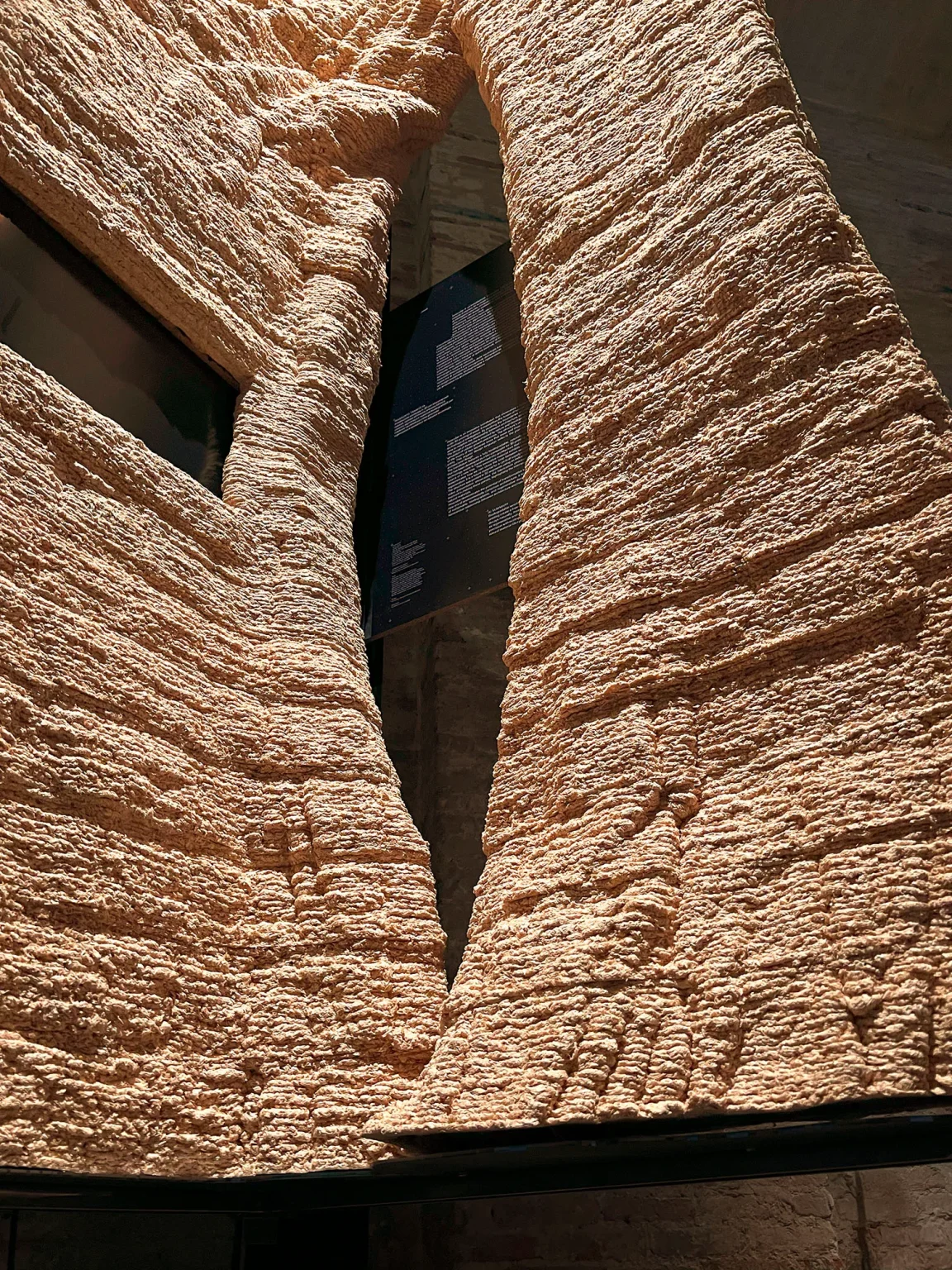INOSCULAE: A 3D-Printed Wood Installation at La Biennale di Venezia 2025