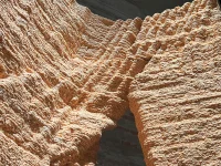 INOSCULAE: A 3D-Printed Wood Installation at La Biennale di Venezia 2025