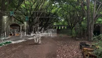 World Architecture Festival 2025