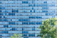 Ludwig Mies van der Rohe