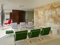Ludwig Mies van der Rohe