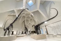 Natural History Museum Abu Dhabi