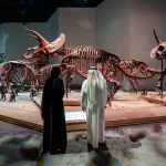 Natural History Museum Abu Dhabi