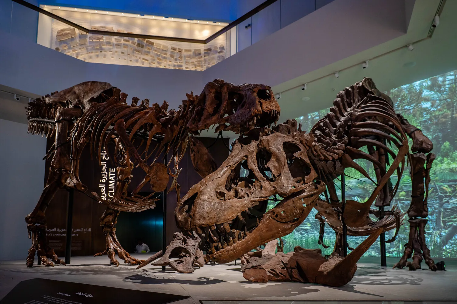 Mecanoo’s Natural History Museum Abu Dhabi Opens Its Doors 9 Natural History Museum Abu Dhabi