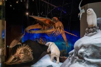 Natural History Museum Abu Dhabi