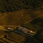 World Architecture Festival 2025