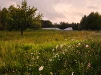 World Architecture Festival 2025: Day One Winners Announced