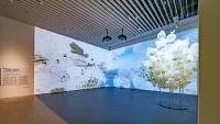 Sou Fujimoto—the Primordial Future Forest exhibition—Mori Art Museum—Tokyo