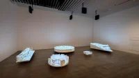 Sou Fujimoto—the Primordial Future Forest exhibition—Mori Art Museum—Tokyo