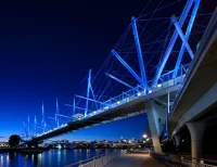 Tensegrity Structures