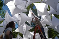 Tensegrity Structures