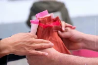 Basel Reveals Its First City-Scale Cloth Installation – The BIGNIK Project by the Riklin Brothers