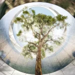 Foster + Partners' 10 Upcoming Projects