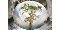 Foster + Partners' 10 Upcoming Projects