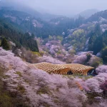 Yacademy Wood Architecture course