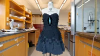 Cornell University; Darkest Fabric; Ultrablack fabric