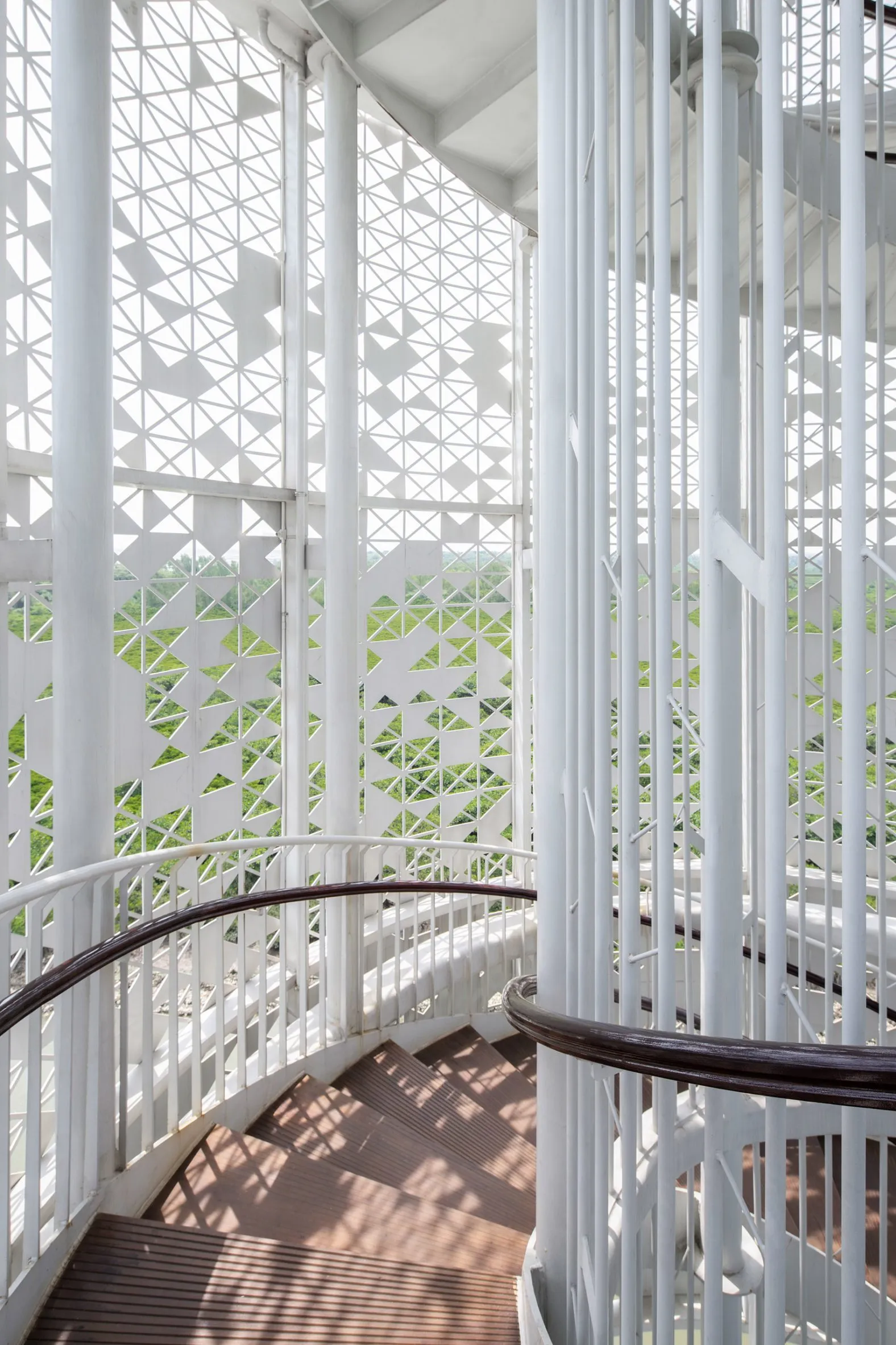 SCUT, Lunar Tower, Hainan’s National Mangrove Reserve