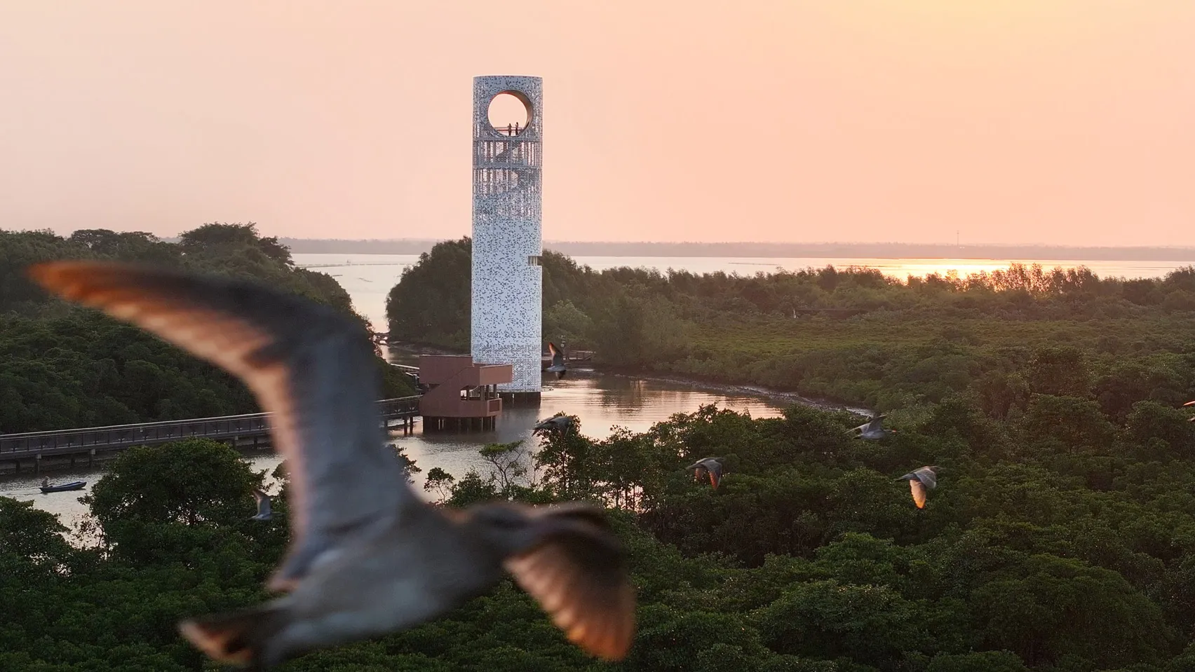SCUT, Lunar Tower, Hainan’s National Mangrove Reserve