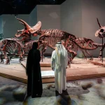 Museums and Cultural Buildings