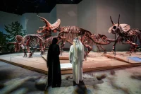 Museums and Cultural Buildings