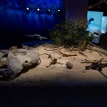 Museums and Cultural Buildings