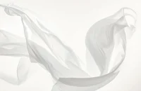 Pantone, Cloud Dancer, Color of the Year 2026