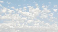 Pantone, Cloud Dancer, Color of the Year 2026