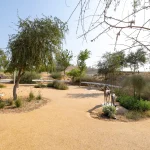 Zayed National Museum opens in Abu Dhabi