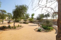 Zayed National Museum opens in Abu Dhabi