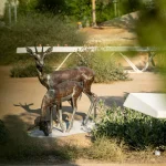 Zayed National Museum opens in Abu Dhabi