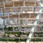 World’s Tallest Hybrid Timber Tower Rises in Sydney