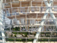 World’s Tallest Hybrid Timber Tower Rises in Sydney