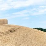 Cappella del Suono in Lunano, Italy, Studio Carraldo
