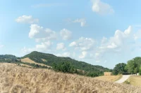 Cappella del Suono in Lunano, Italy, Studio Carraldo