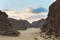 Desert X AlUla 2026