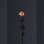 Designart Tokyo 2025 Celebrates Emotion-Driven Creativity