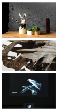 Designart Tokyo 2025 Celebrates Emotion-Driven Creativity