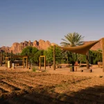 Desert X AlUla 2026
