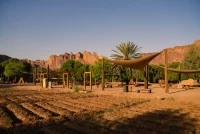 Desert X AlUla 2026