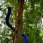 FiloBot, 3D-Printed, Plant-Inspired Self-Growing Robot