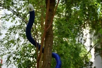 FiloBot, 3D-Printed, Plant-Inspired Self-Growing Robot