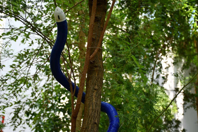 FiloBot, 3D-Printed, Plant-Inspired Self-Growing Robot