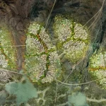 Hunnu City as an Urban Constellation for Mongolia’s 2050 Future