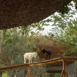 LuxeIsland Farm in Wuhan by Various Associates