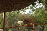 LuxeIsland Farm in Wuhan by Various Associates