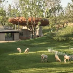 LuxeIsland Farm in Wuhan by Various Associates
