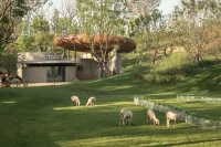 LuxeIsland Farm in Wuhan by Various Associates