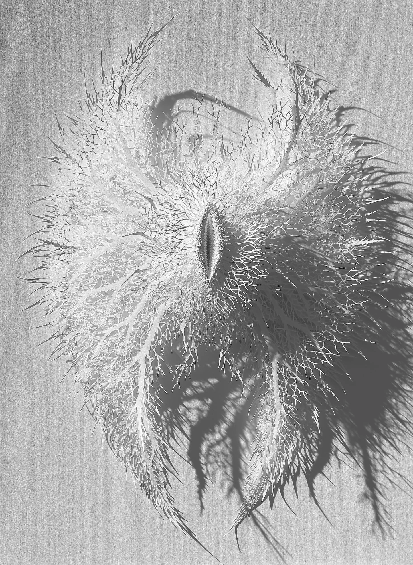 Iris van Herpen: Sculpting the Senses exhibition at the Brooklyn Museum in New York